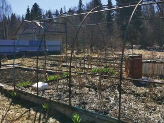 Купить землю, 5.2 соток