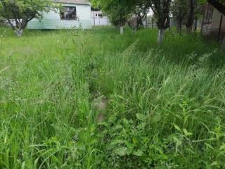 1-этажный дом, 40 м², 6 соток