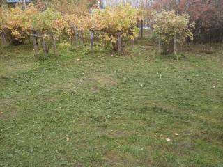  коттедж, 40 м², 6 соток