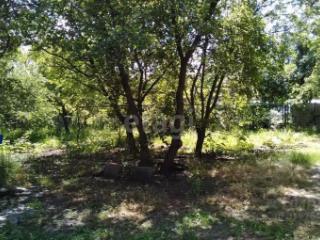 2-этажный дом, 329 м², 12 соток