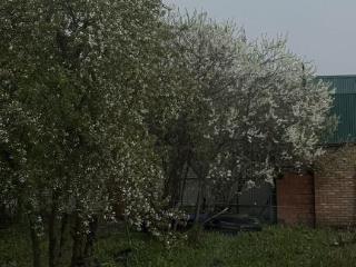  дом, 71.6 м², 7.8 соток