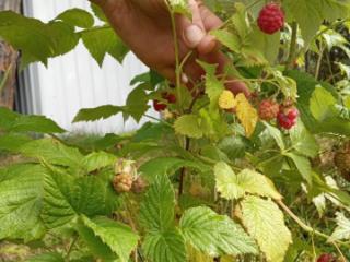 2-этажный дом, 61.5 м², 10.51 соток