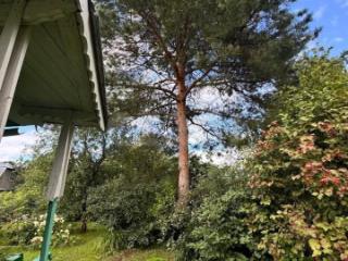 1-этажный дом, 26 м², 8 соток