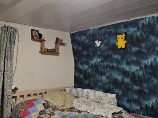 1-этажный дом, 60 м², 10 соток