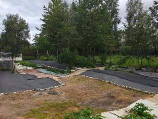  дом, 38.5 м², 15.5 соток