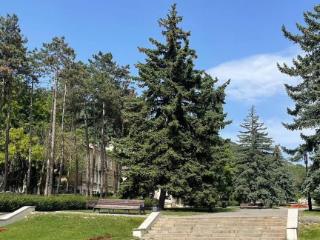 1-комн. квартира, 37 м², 1/1 этаж