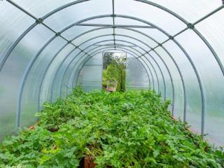 1-этажный дом, 59.5 м², 14.8 соток