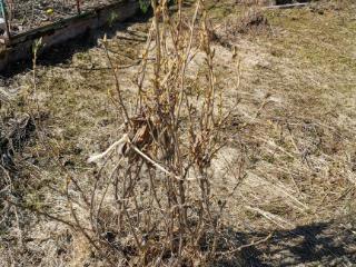 Купить землю, 5.2 соток