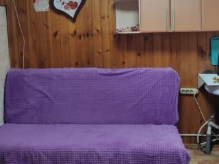  дом, 51.7 м², 15 соток