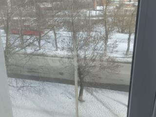 Комната, 11.1 м²