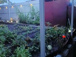 1-этажный дом, 72.9 м², 3.5 сотки