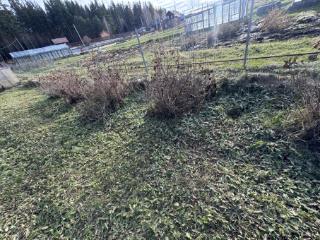 2-этажный дом, 47 м², 15 соток