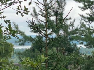 3-этажный дом, 326 м², 8.3 соток