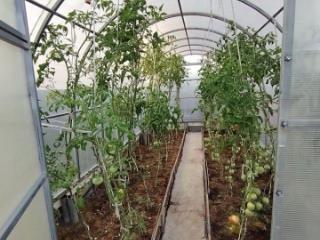 2-этажный дом, 50 м², 6.4 соток