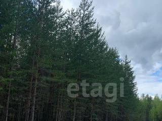 Купить землю, 9.7 соток