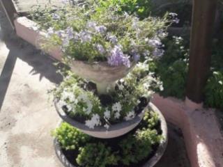 1-этажный дом, 46.5 м², 5.5 соток