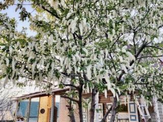 1-этажный дом, 98 м², 16 соток