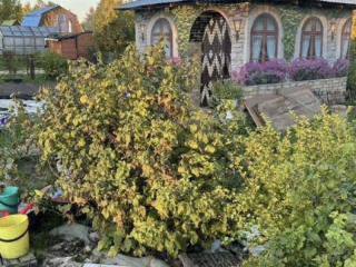  коттедж, 45 м², 6 соток