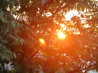 1-этажный дом, 90 м², 8 соток