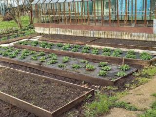  коттедж, 30 м², 6 соток