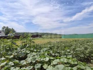 1-этажный дом, 95.2 м², 20.2 соток