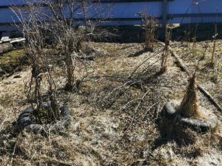 Купить землю, 5.2 соток