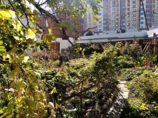 1-этажный дом, 50 м², 3.17 сотки