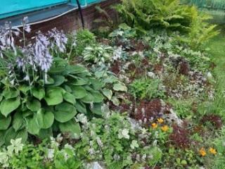 2-этажный дом, 70 м², 15 соток