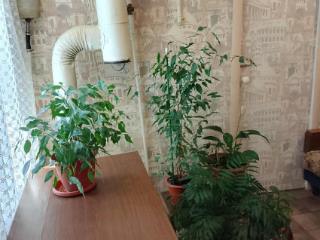 4-комн. квартира, 77.7 м², 1/1 этаж