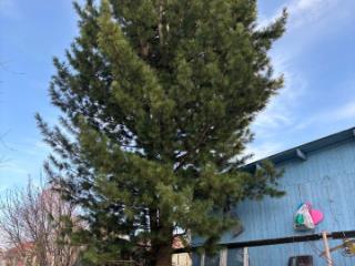 2-этажный дом, 26 м², 5 соток