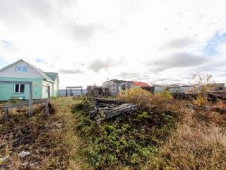 1-этажный дом, 50 м², 16 соток