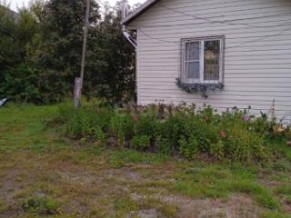 1-этажный дом, 31 м², 19.6 соток