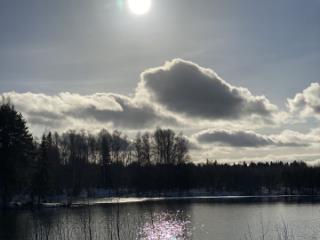 1-этажный дом, 25.3 м², 37 соток