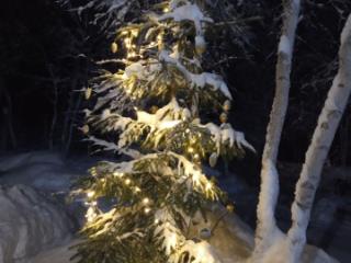 2-этажный дом, 61.5 м², 10.51 соток