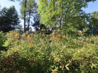 2-этажный дом, 40 м², 9 соток