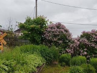  дом, 41 м², 13 соток