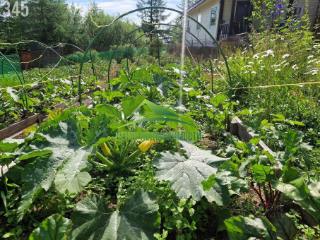 1-этажный дом, 45 м², 17 соток