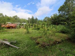 1-этажный дом, 55 м², 20 соток