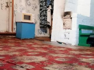 1-этажный дом, 25.8 м², 24.12 сотки