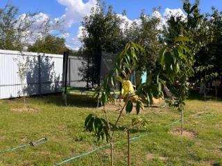 2-этажный дом, 66 м², 9 соток