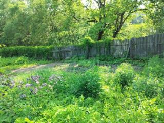 1-этажный дом, 20 м², 13 соток