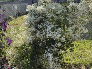 2-этажный дом, 104.4 м², 8.2 соток