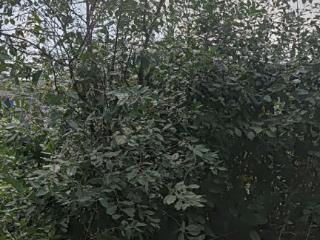 1-этажный дом, 84.5 м², 11 соток