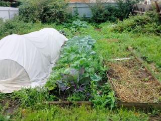  дом, 41.9 м², 3 сотки