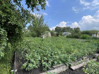 1-этажный дом, 30 м², 8 соток