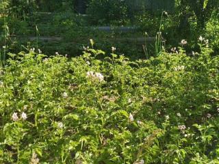  коттедж, 25 м², 4 сотки