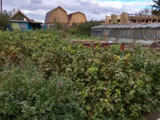  коттедж, 20 м², 6.3 соток