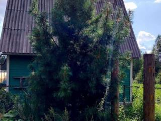  коттедж, 60 м², 10 соток