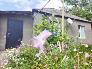 1-этажный дом, 48.2 м², 10 соток