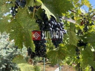 2-этажный дом, 162 м², 10 соток